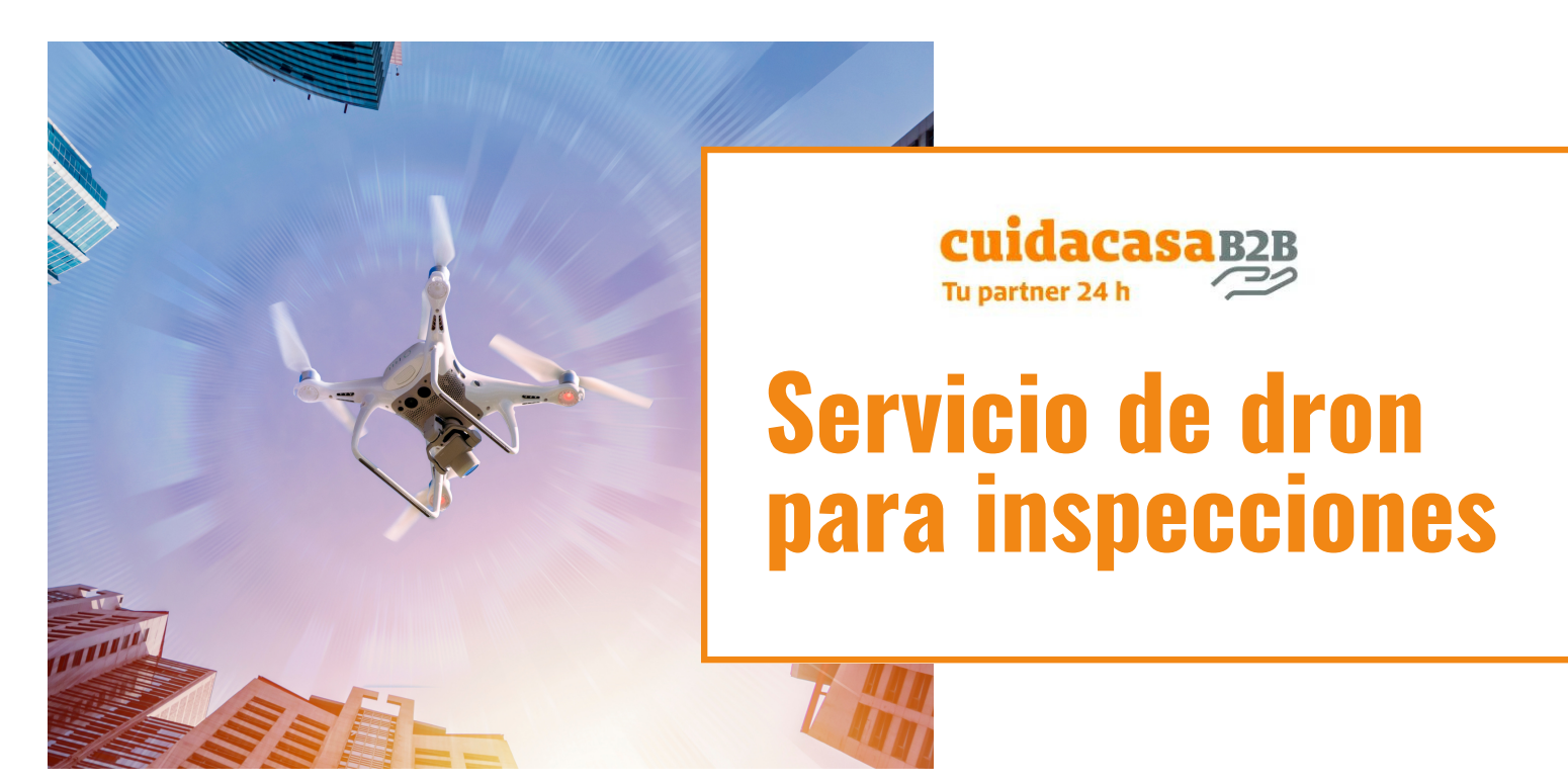 Servicio de Dron para inspecciones Servicio de Dron para inspecciones