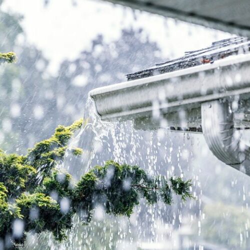 Añadir un subtítulo (12)