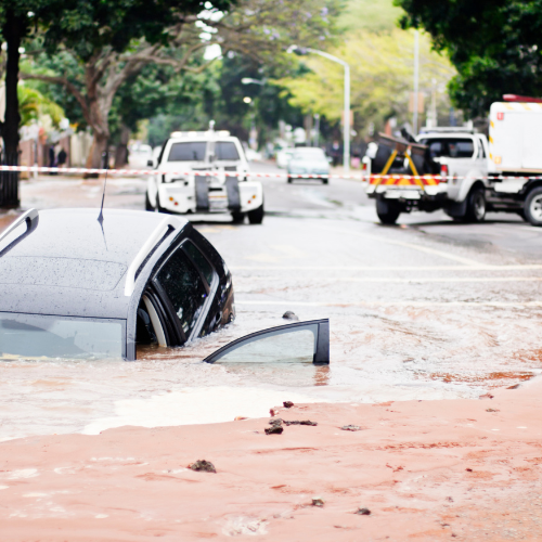 Añadir un subtítulo (40)
