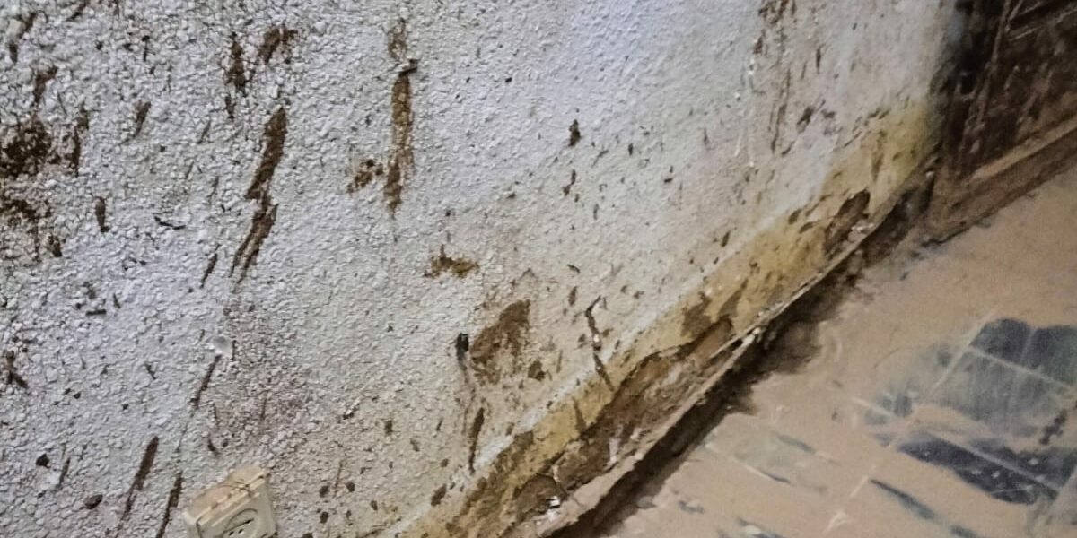 ¿Cómo gestionamos un siniestro grave post DANA? La naturaleza puede ser impredecible, y cuando la DANA (Depresión Aislada en Niveles Altos) golpea con fuerza, las consecuencias pueden ser devastadoras. En las últimas semanas, Cuidacasa ha estado trabajando arduamente para ayudar a los afectados por los estragos de la DANA en Valencia. En este artículo, te contamos cómo hemos gestionado un caso particular de inundación severa, una muestra más de nuestro compromiso y profesionalidad en la gestión de siniestros.