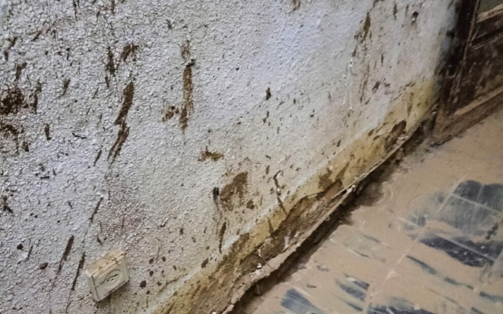 ¿Cómo gestionamos un siniestro grave post DANA? La naturaleza puede ser impredecible, y cuando la DANA (Depresión Aislada en Niveles Altos) golpea con fuerza, las consecuencias pueden ser devastadoras. En las últimas semanas, Cuidacasa ha estado trabajando arduamente para ayudar a los afectados por los estragos de la DANA en Valencia. En este artículo, te contamos cómo hemos gestionado un caso particular de inundación severa, una muestra más de nuestro compromiso y profesionalidad en la gestión de siniestros.